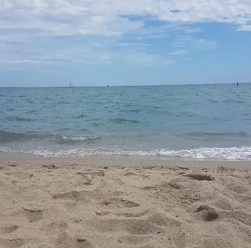 Daire T2 Avec Vue - Port - 4 Personnes